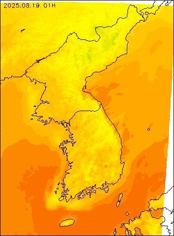 2025-08-19 01 : 00