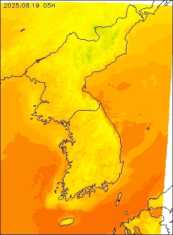 2025-08-19 05 : 00