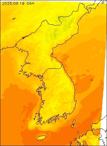 2025-08-19 06 : 00