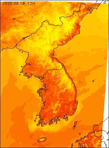 2025-08-19 12 : 00