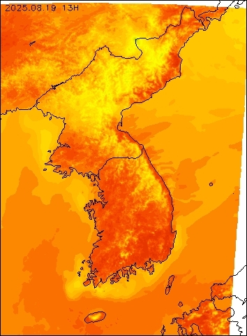 2025-08-19 13 : 00