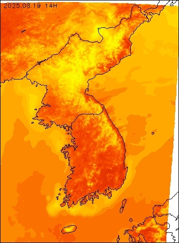 2025-08-19 14 : 00