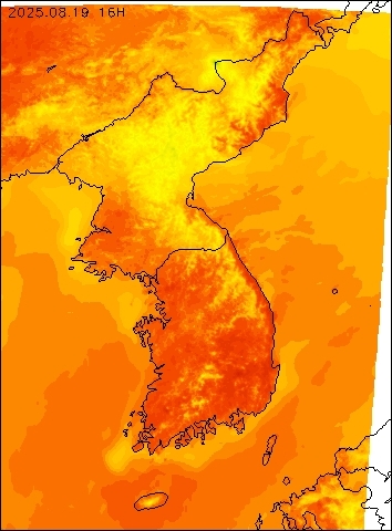 2025-08-19 16 : 00