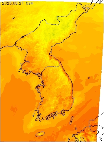 2025-08-21 09 : 00