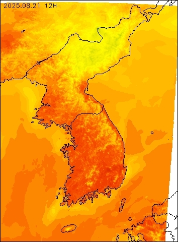 2025-08-21 12 : 00