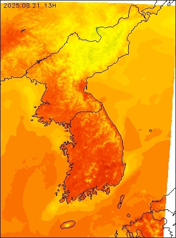 2025-08-21 13 : 00