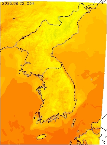 2025-08-22 03 : 00