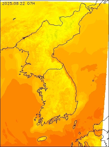 2025-08-22 07 : 00