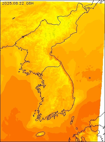 2025-08-22 08 : 00