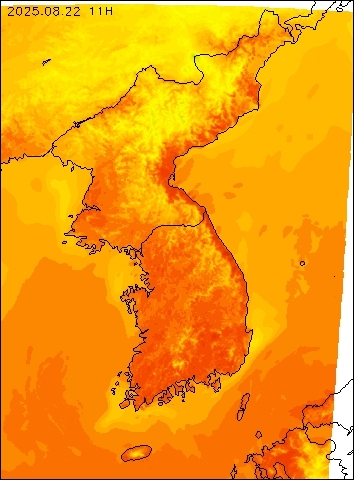 2025-08-22 11 : 00