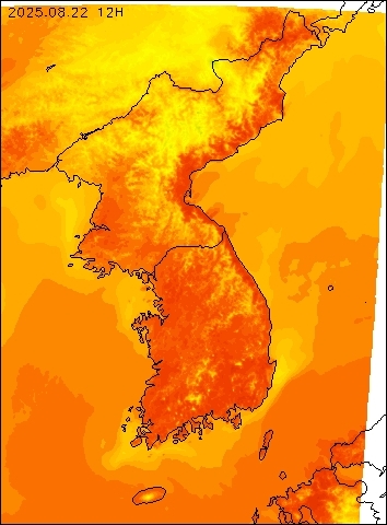 2025-08-22 12 : 00