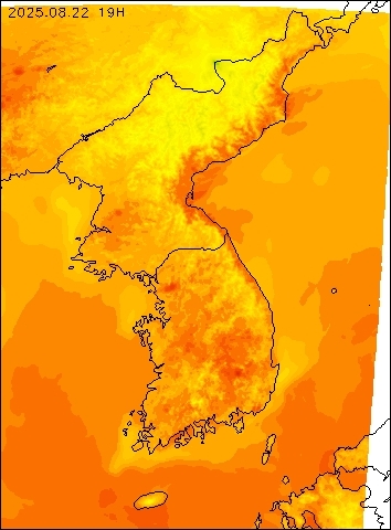 2025-08-22 19 : 00