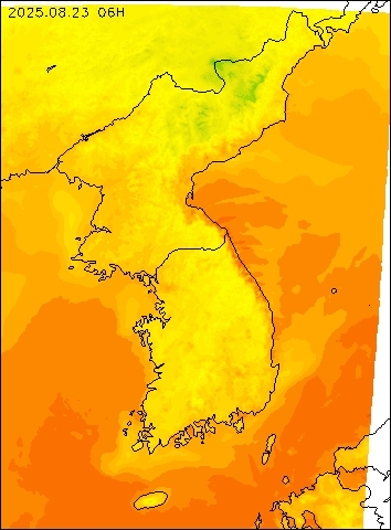 2025-08-23 06 : 00