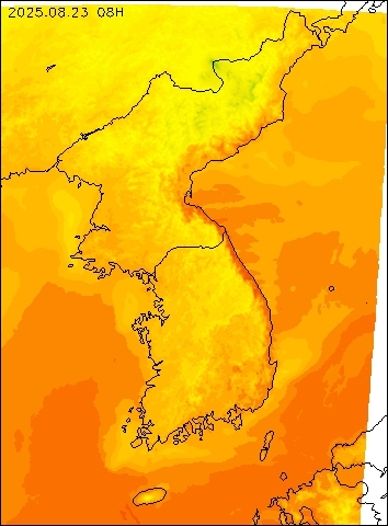 2025-08-23 08 : 00