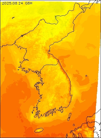 2025-08-24 08 : 00