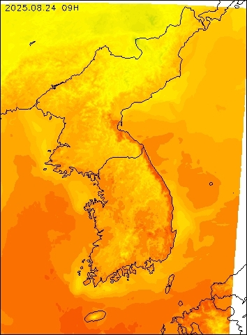 2025-08-24 09 : 00
