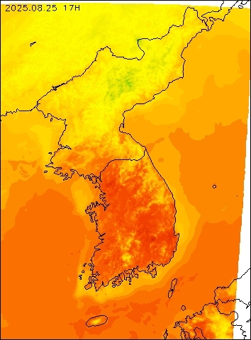 2025-08-25 17 : 00