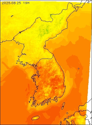 2025-08-25 19 : 00