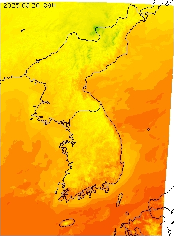 2025-08-26 09 : 00
