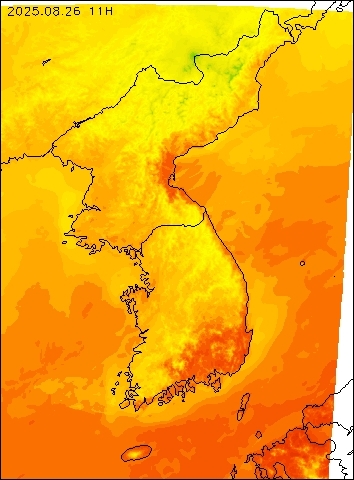 2025-08-26 11 : 00
