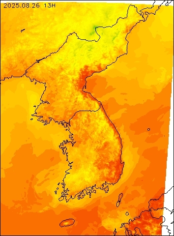 2025-08-26 13 : 00