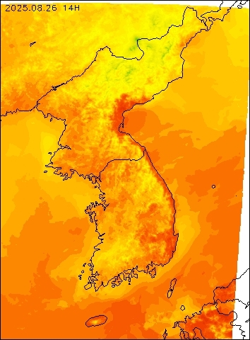 2025-08-26 14 : 00