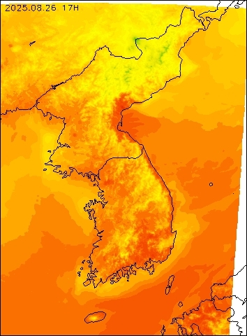 2025-08-26 17 : 00