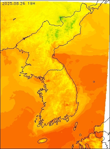 2025-08-26 19 : 00