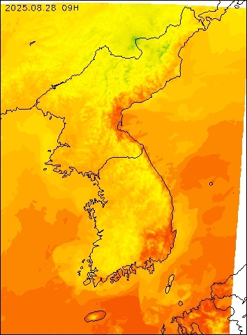 2025-08-28 09 : 00
