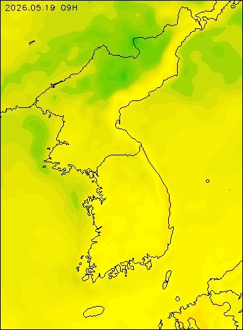 2026-05-19 09 : 00