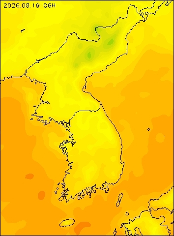 2026-08-19 06 : 00