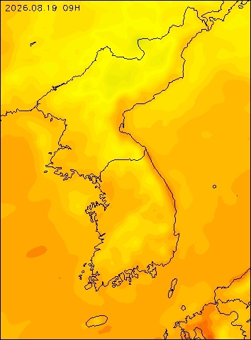2026-08-19 09 : 00