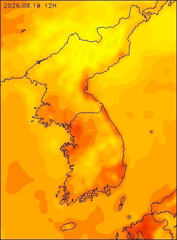 2026-08-19 12 : 00