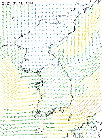 2025-05-10 11 : 00