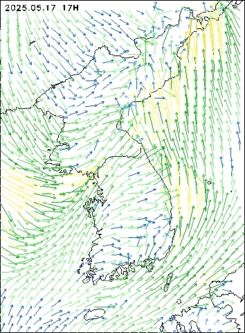 2025-05-17 17 : 00