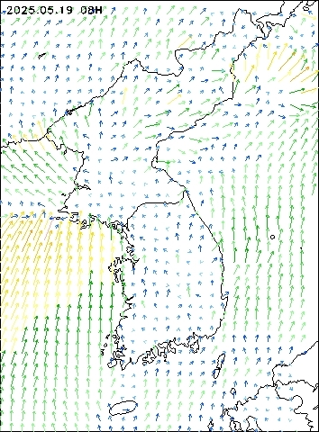 2025-05-19 08 : 00