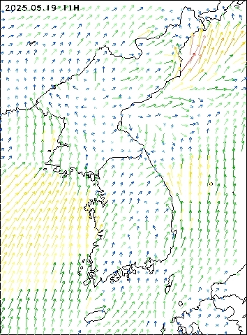 2025-05-19 11 : 00