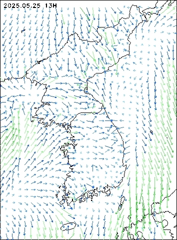 2025-05-25 13 : 00