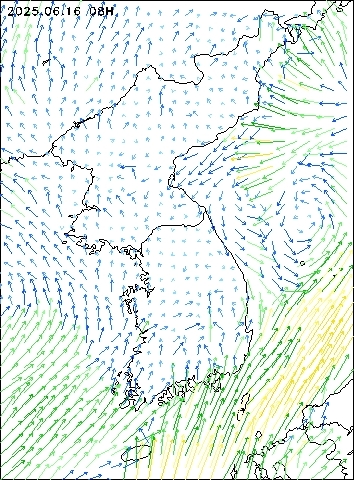 2025-06-16 08 : 00