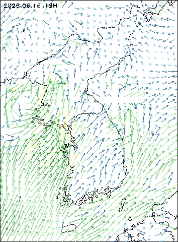 2025-06-16 19 : 00