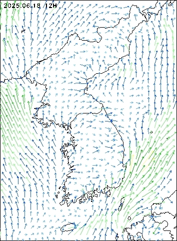 2025-06-18 12 : 00