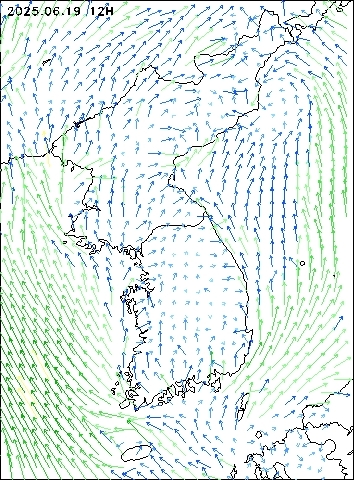2025-06-19 12 : 00