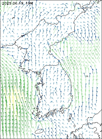 2025-06-19 19 : 00