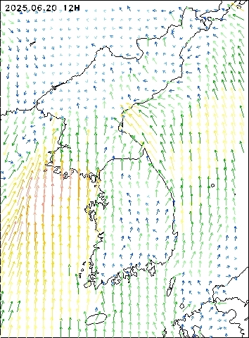 2025-06-20 12 : 00