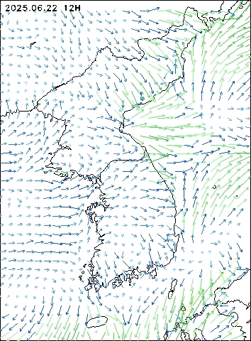 2025-06-22 12 : 00