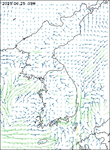 2025-06-25 09 : 00