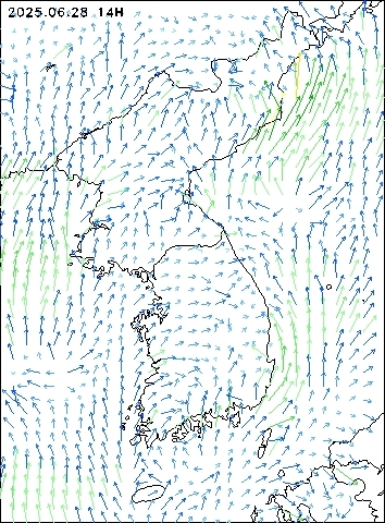 2025-06-28 14 : 00