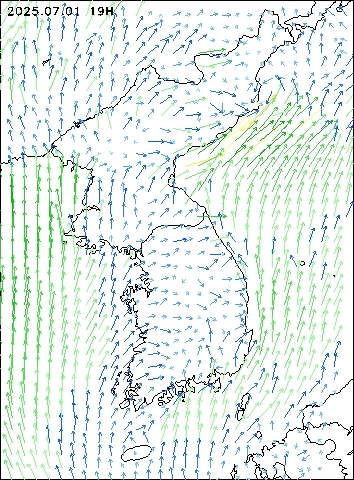 2025-07-01 19 : 00