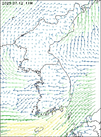 2025-07-12 11 : 00