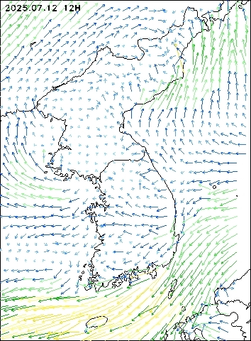 2025-07-12 12 : 00